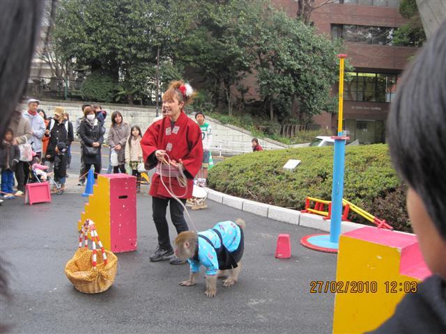 Picture 268 (Small).jpg